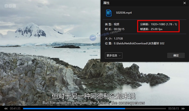 1080P高清纪录片《冰冻星球》1-2季原声中字网盘MP4下载百度云