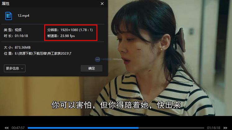 1080P高清韩剧《特工家族》全12集网盘下载百度云