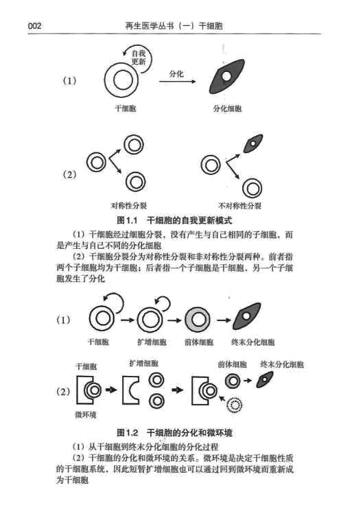 再生医学丛书（共8册）电子版PDF网盘下载