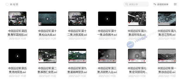720P纪录片《中国远征军(2010)》全12集国语中字网盘下载
